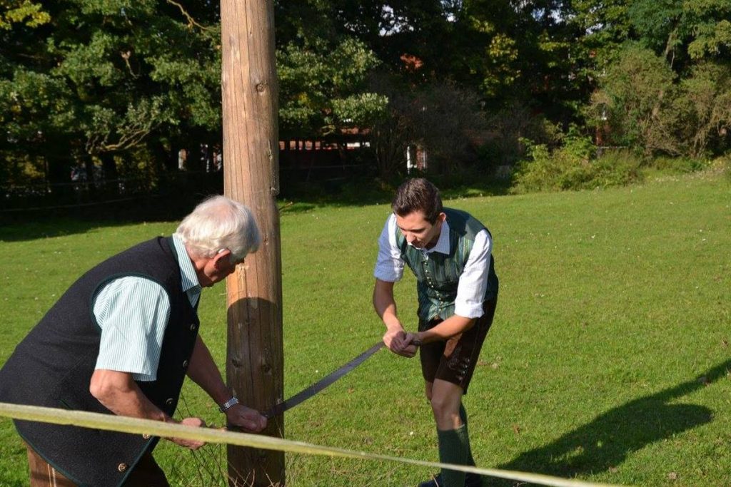 Maibaum umschneiden